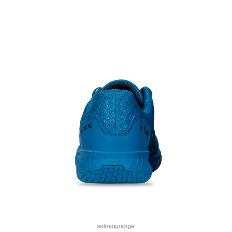 Salming sko menn blå hauk domstol FNLFP1